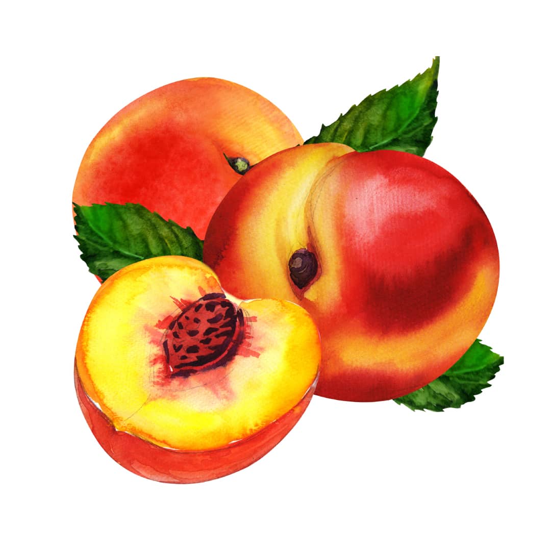 FRUTAS COBELLA nectarina-100
